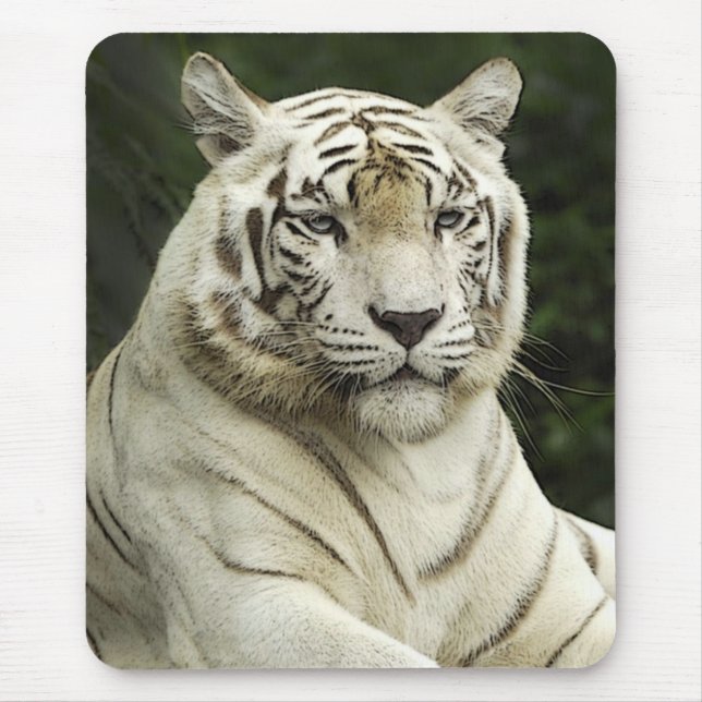 Tapis De Souris tigre (Devant)