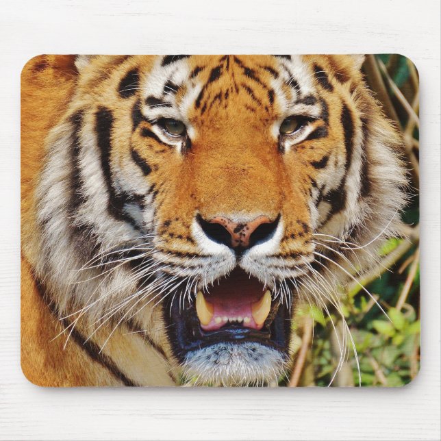 Tapis De Souris Tigre (Devant)