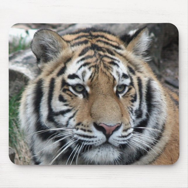 Tapis De Souris Tigre (Devant)