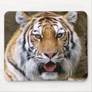 Tapis De Souris Tigre