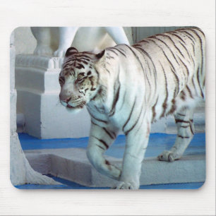 Tapis De Souris Tigre blanc
