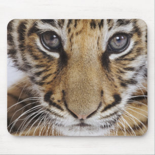Tapis De Souris Tigre CUB