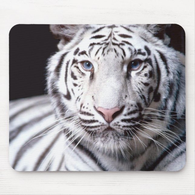 Tapis De Souris Tigre de Bengale blanc Mousepad (Devant)