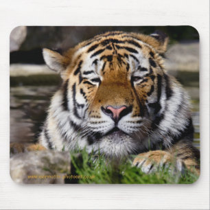 Tapis de souris Tigre de Zambar