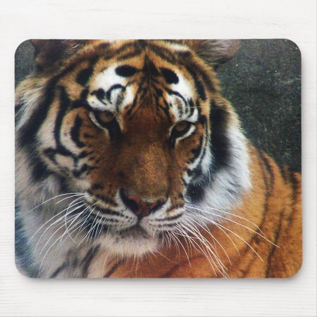Tapis De Souris Tigre et souris… (Devant)