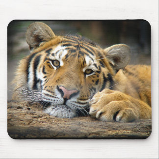 Tapis De Souris Tigre Mousepad