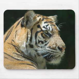 Tapis De Souris Tigre Mousepad de Sumatran