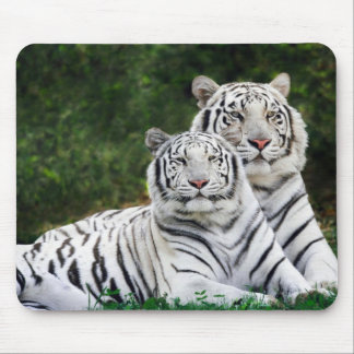 Tapis De Souris Tigres