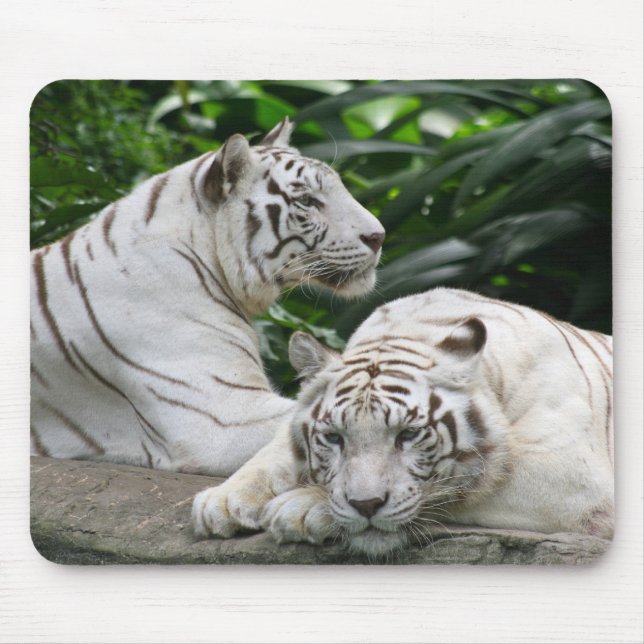 Tapis De Souris tigres blancs (Devant)