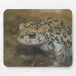 Tapis De Souris Toad Mousepad