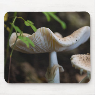 Tapis De Souris Toadstool parapluie