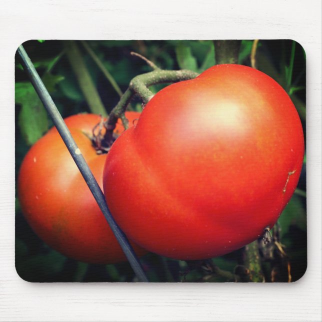 Tapis De Souris Tomates Rouges Ripe Sur La Vigne Nature (Devant)