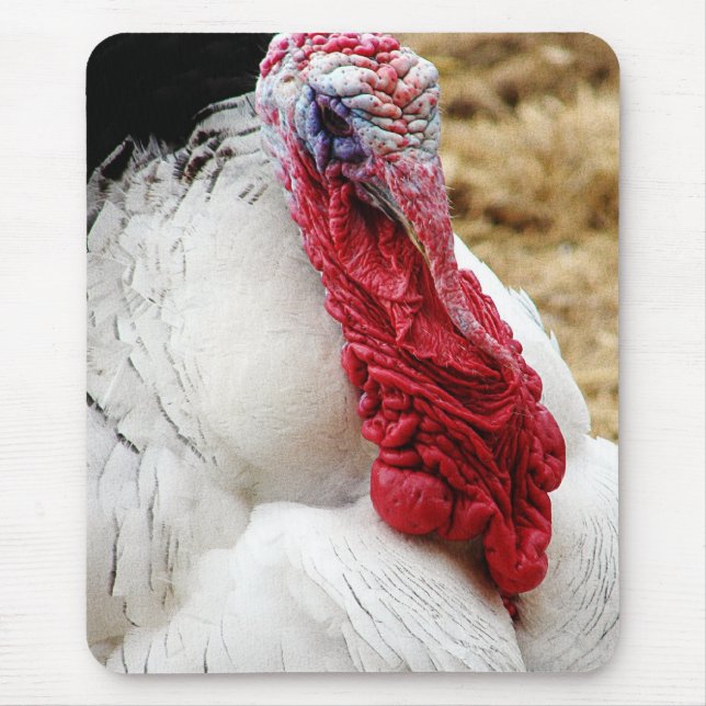 Tapis De Souris Tommy (Devant)