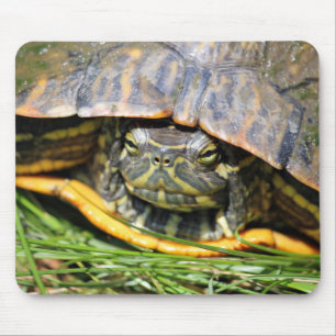 Tapis De Souris Tortue
