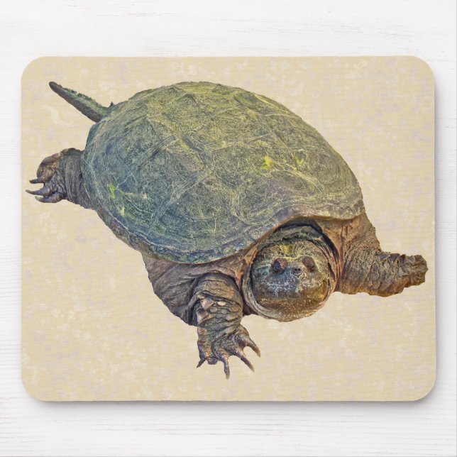 Tapis De Souris Tortue commune - Chelydra serpentina (Devant)