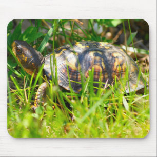 Tapis De Souris Tortue de boîte Mousepad