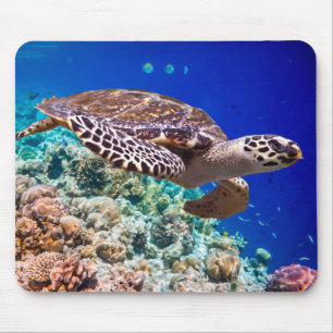 Tapis De Souris Tortue de mer