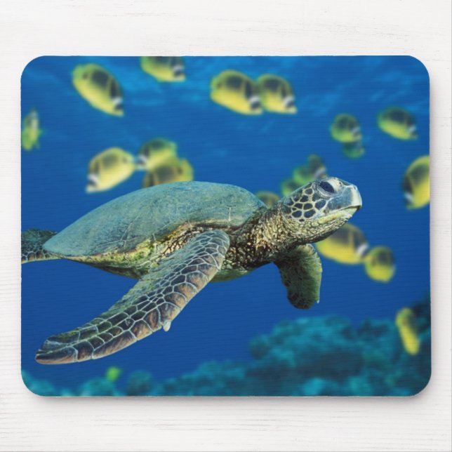 Tapis De Souris Tortue de mer verte (Devant)