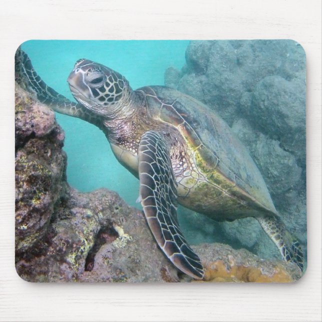 Tapis De Souris Tortue de mer verte d'Hawaï (Devant)