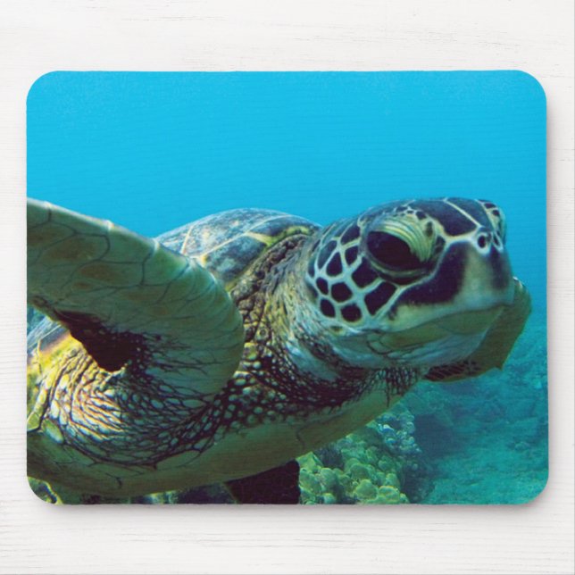 Tapis De Souris Tortue de mer verte d'Hawaï (Devant)