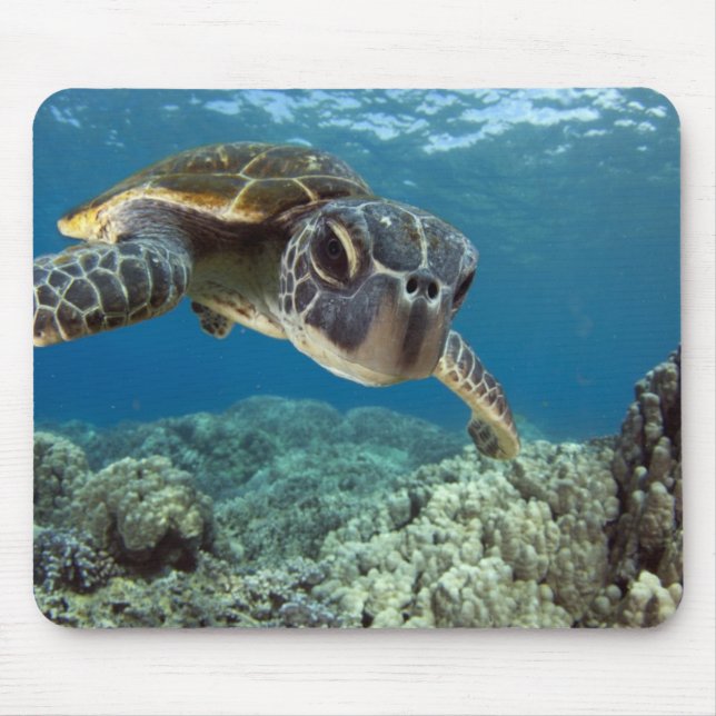 Tapis De Souris Tortue de mer verte hawaïenne (Devant)