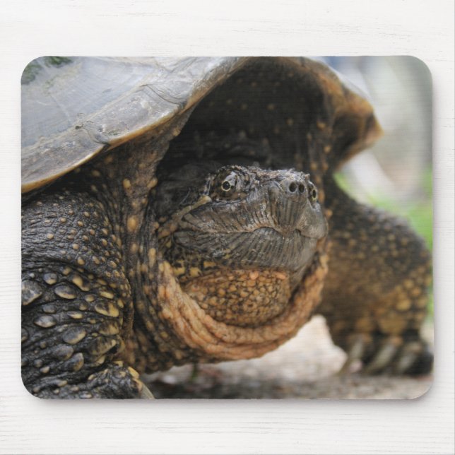 Tapis De Souris Tortue de rupture (Devant)