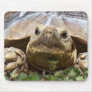Tapis De Souris Tortue de Sulcata