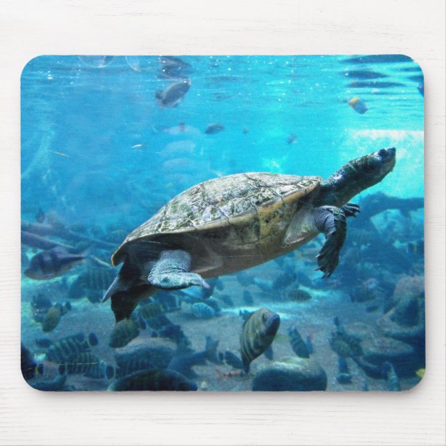 Tapis De Souris Tortue et poissons (Devant)