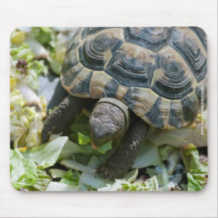 Tapis De Souris Tortue mignonne