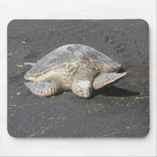 Tapis De Souris Tortue Mousepad
