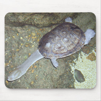 Tapis De Souris Tortue Mousepad #3 de cou de serpent