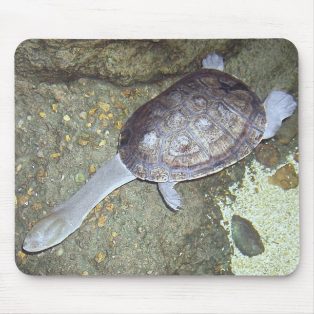Tapis De Souris Tortue Mousepad #3 de cou de serpent (Devant)