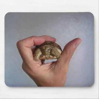 Tapis De Souris Tortue Mousepad de bébé