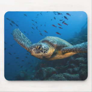 Tapis De Souris Tortue noire (verte) (Chelonia agassizi)