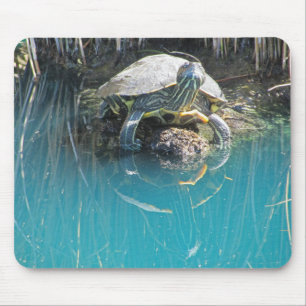 Tapis De Souris Tortue par l'eau avec réflexion Photo Lac Animal