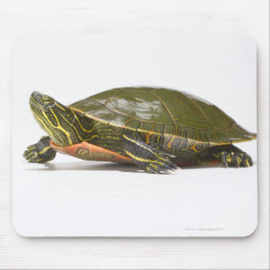 Tapis De Souris Tortue peinte occidentale (Chrysemys picta bellii)