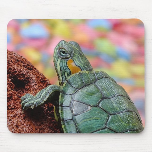 Tapis De Souris tortue Rouge-à oreilles de glisseur (Devant)