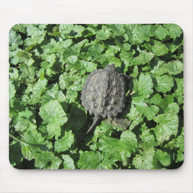 Tapis De Souris Tortue serpent (Devant)
