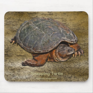 Tapis De Souris Tortue serpentine Terrapin-lover Cadeau