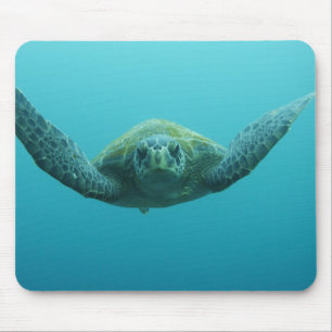 Tapis De Souris Tortue verte (Chelonia mydas agassisi), Central