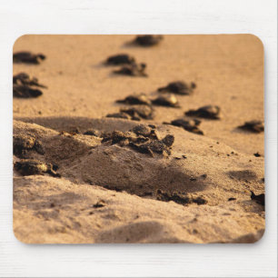 Tapis De Souris Tortues de mer