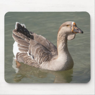 Tapis De Souris Toulouse Goose