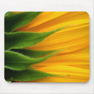Tapis De Souris Tournesol