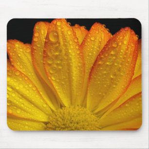Tapis De Souris Tournesol
