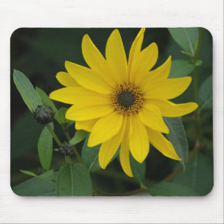 Tapis De Souris Tournesol