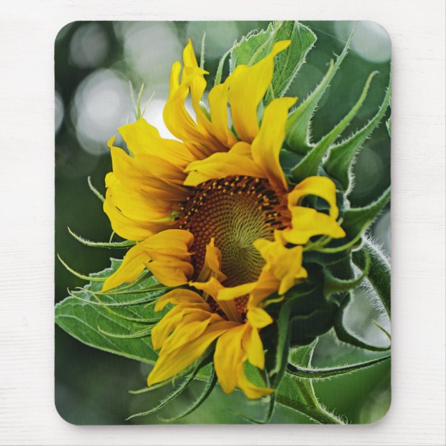 Tapis De Souris Tournesol (Devant)