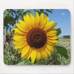 Tapis De Souris Tournesol ensoleillé