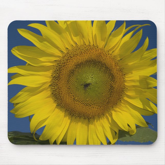 Tapis De Souris Tournesol jaune (Devant)