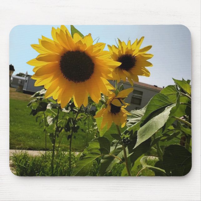 Tapis De Souris Tournesol Mousepad (Devant)