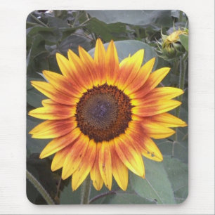 Tapis De Souris Tournesol Mousepad